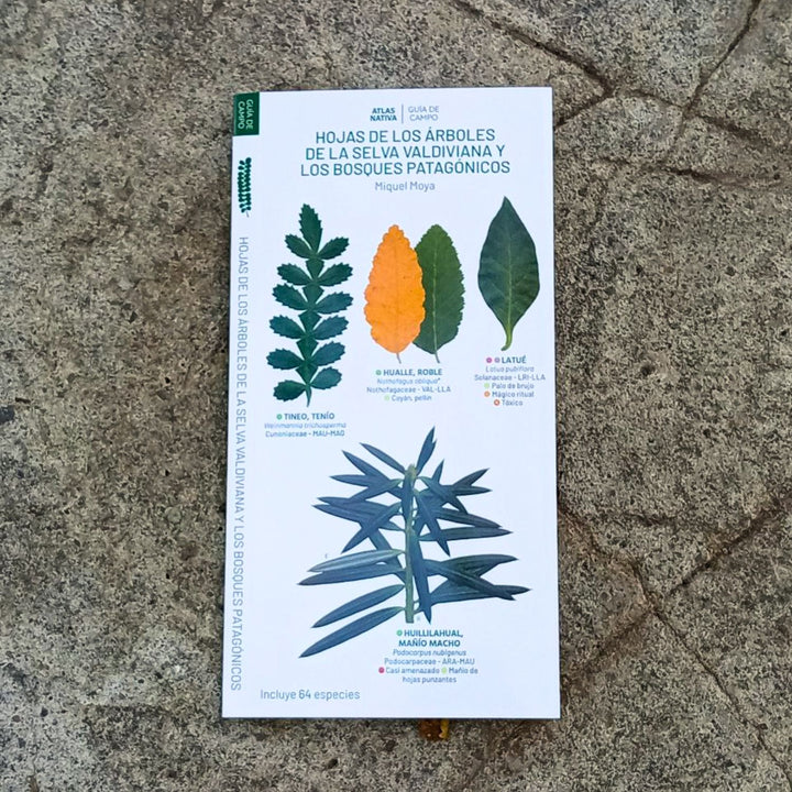 GUIA SELVA VALDIVIANA (DESPLEGABLE)