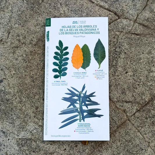 GUIA SELVA VALDIVIANA (DESPLEGABLE)