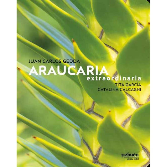 ARAUCARIA EXTRAORDINARIA