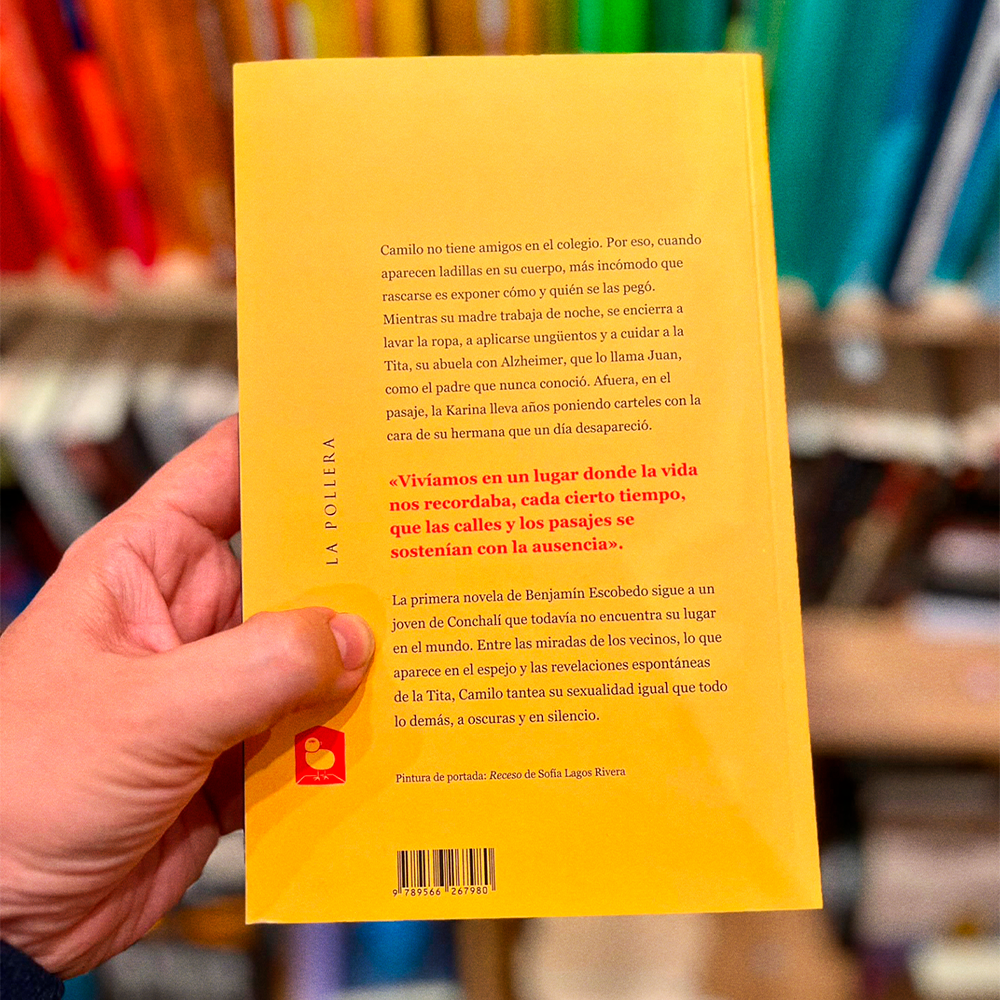 BENJAMIN ESCOBEDO - A RATOS ME RECONOCES | LIBRO