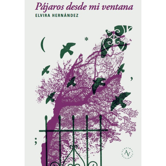 PAJAROS DESDE MI VENTANA