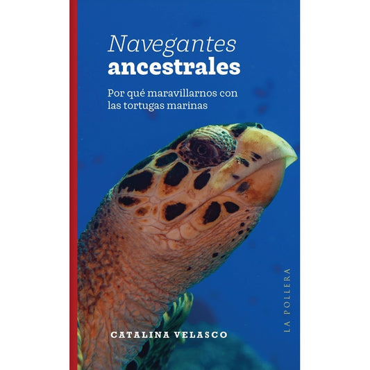 NAVEGANTES ANCESTRALES