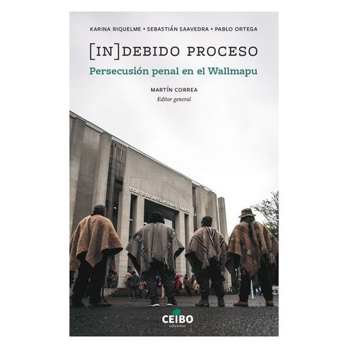 INDEBIDO PROCESO