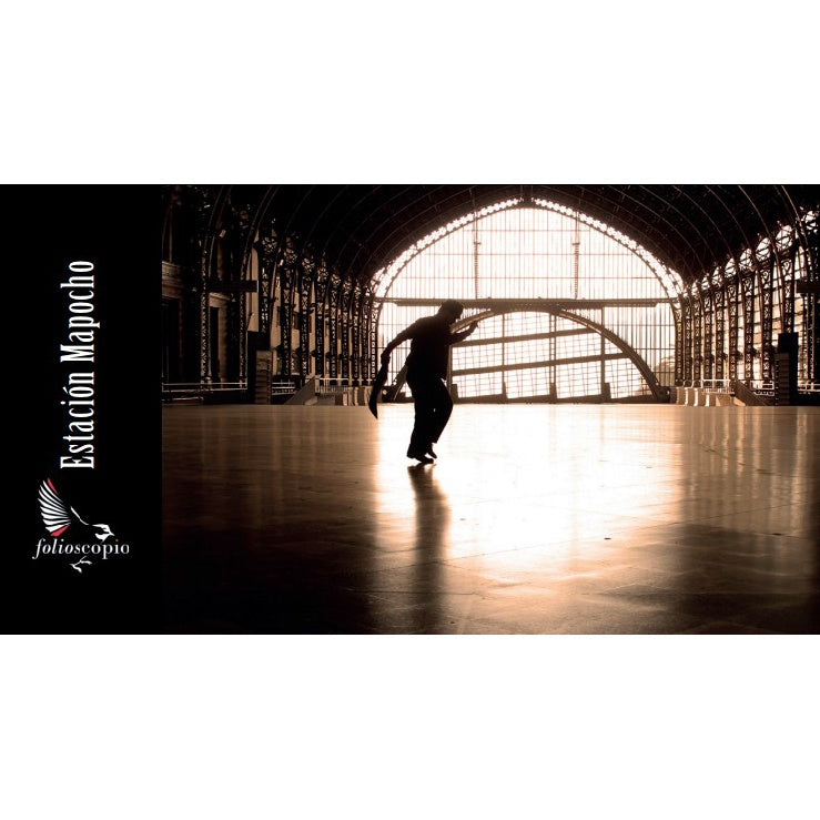FLIPBOOK ESTACION MAPOCHO