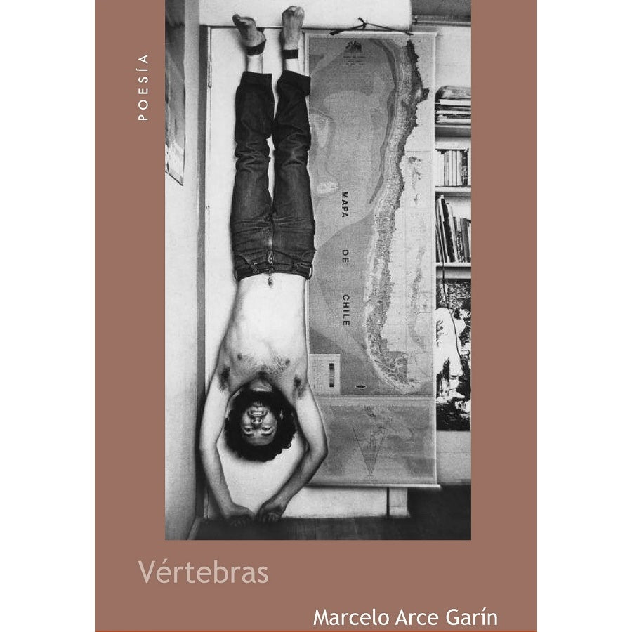 VERTEBRAS