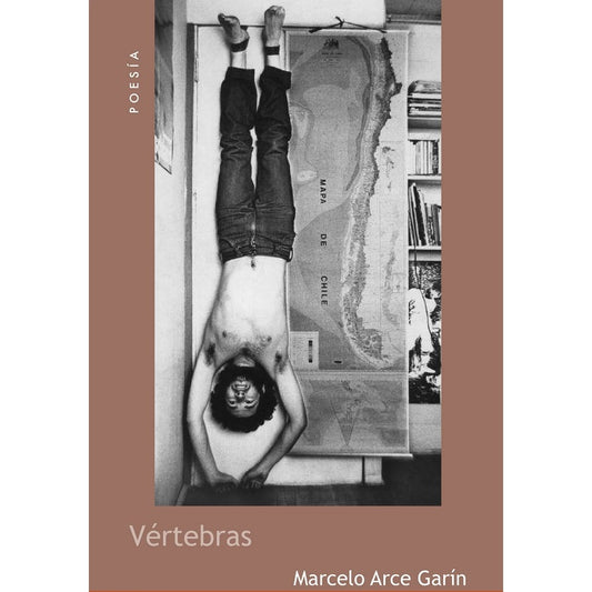 VERTEBRAS