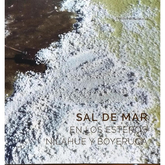 SAL DE MAR EN LOS ESTEROS NILAHUE Y BOYERUCA