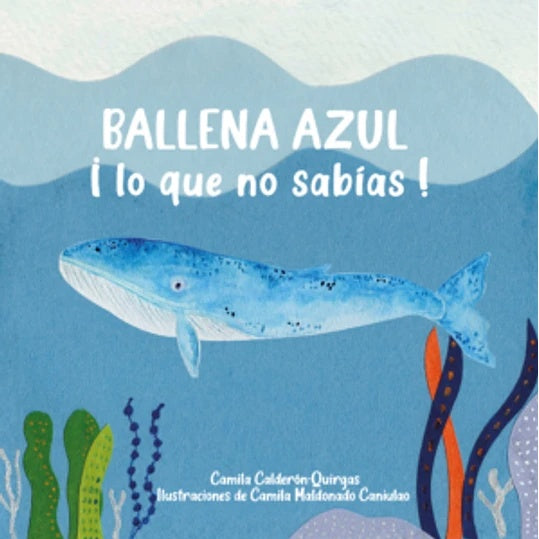 BALLENA AZUL LO QUE NO SABIAS