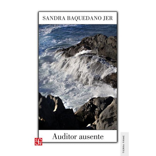 AUDITOR AUSENTE