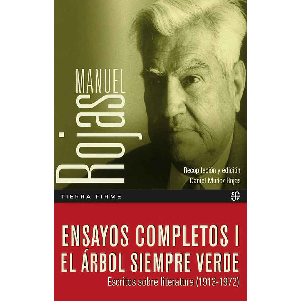 ENSAYOS COMPLETOS I