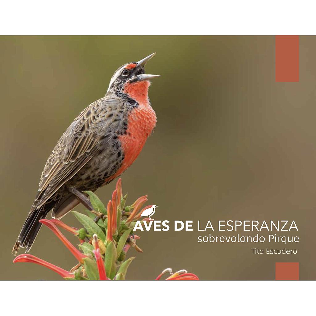 AVES DE LA ESPERANZA SOBRAVOLANDO PIRQUE