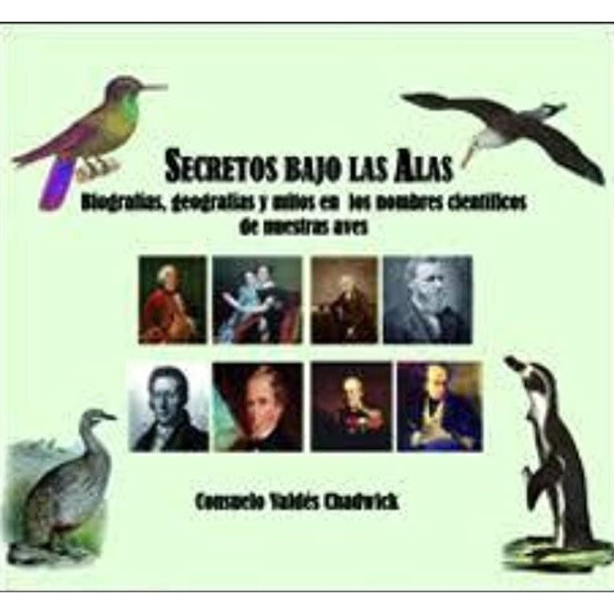SECRETOS BAJO LAS ALAS