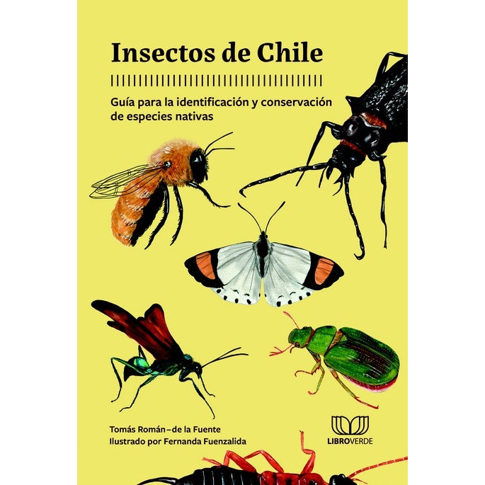 INSECTOS DE CHILE