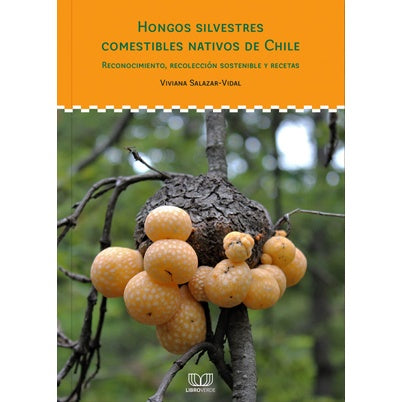 HONGOS SILVESTRES NATIVOS COMESTIBLES DE CHILE