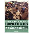 CONFLICTOS ETNICOS, SOCIALES, ECONOMICOS ARAUCANIA