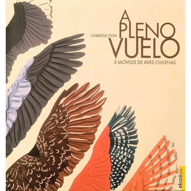 A PLENO VUELO
