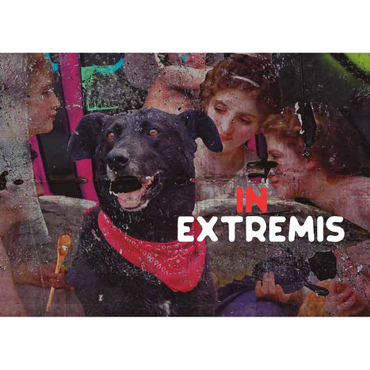 IN EXTREMIS