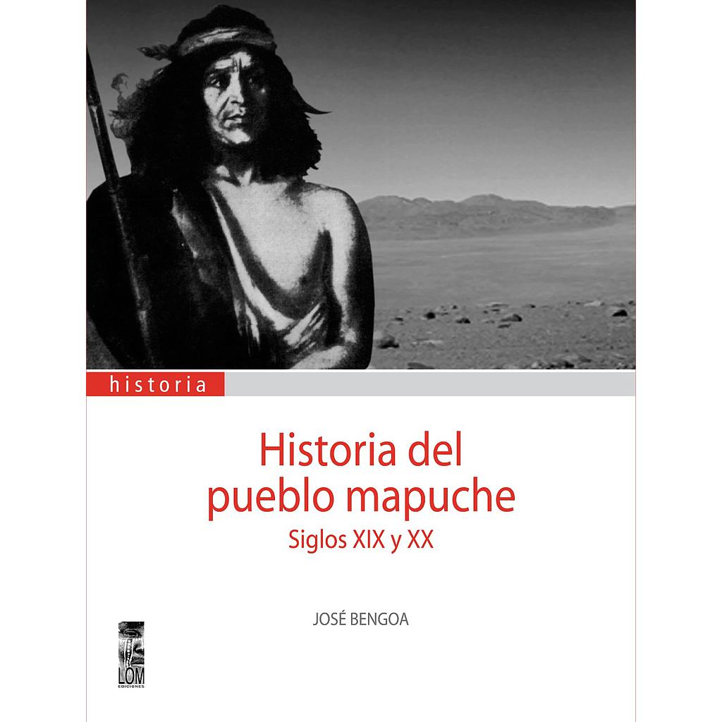 HISTORIA DEL PUEBLO MAPUCHE SIGLOS XIX Y XX
