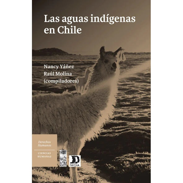 LAS AGUAS INDIGENAS EN CHILE