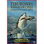 TIBURONES FOSILES DE CHILE Y LA FAUNA FOSIL DE BAHIA INGLESA