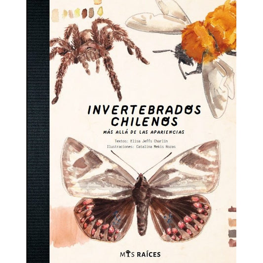 INVERTEBRADOS CHILENOS. MAS ALLA DE LAS APARIENCIAS