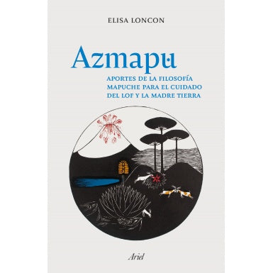 AZMAPU