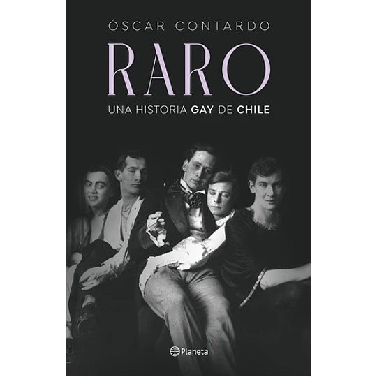 RARO UNA HISTORIA GAY DE CHILE (2025)