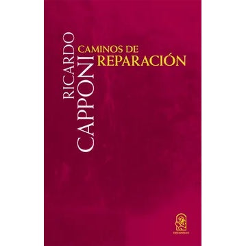 CAMINOS DE REPARACION