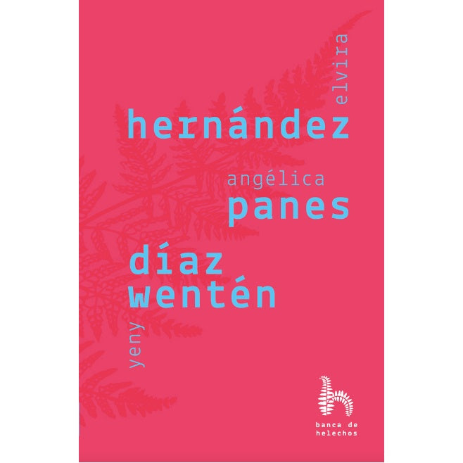 HERNANDEZ PANES DIAZ WANTEN
