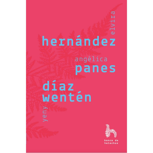 HERNANDEZ PANES DIAZ WANTEN