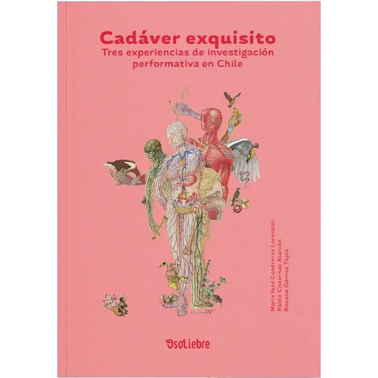 CADAVER EXQUISITO (OSO LIEBRE)