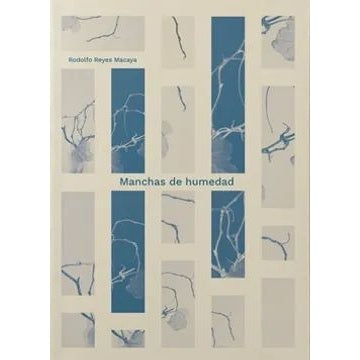 MANCHAS DE HUMEDAD