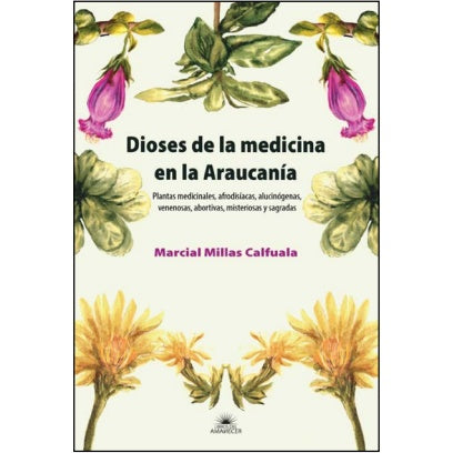 DIOSES DE LA MEDICINA EN LA ARAUCANIA