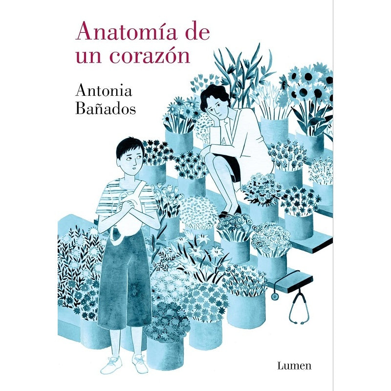 ANATOMIA DE UN CORAZON