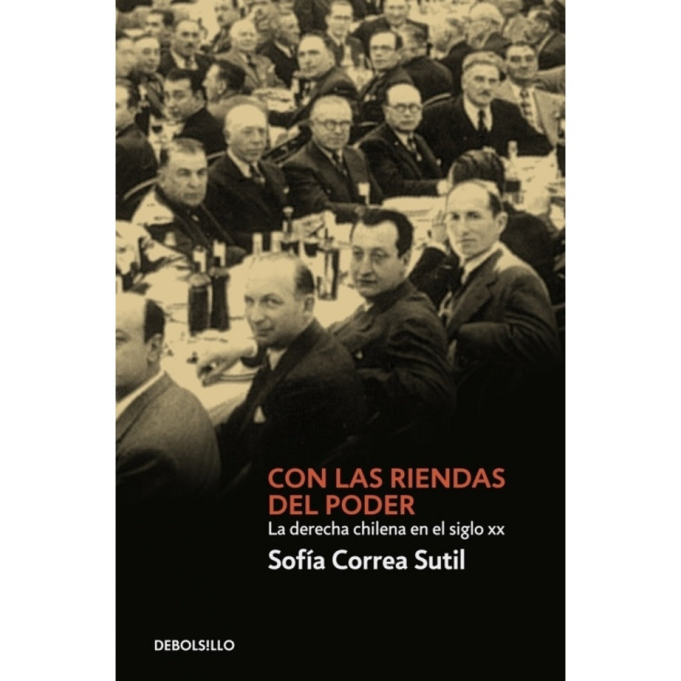 CON LAS RIENDAS DEL PODER (DEBOLSILLO)