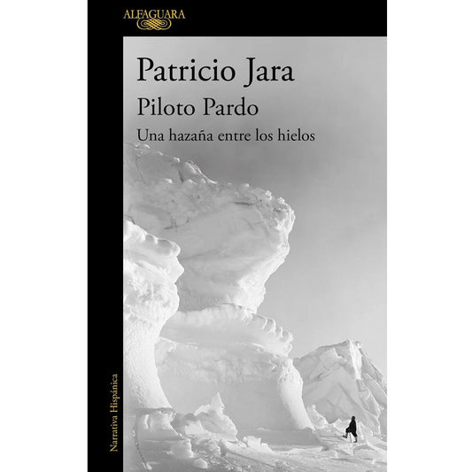 PILOTO PARDO