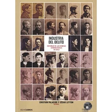 INDUSTRIA DEL DELITO