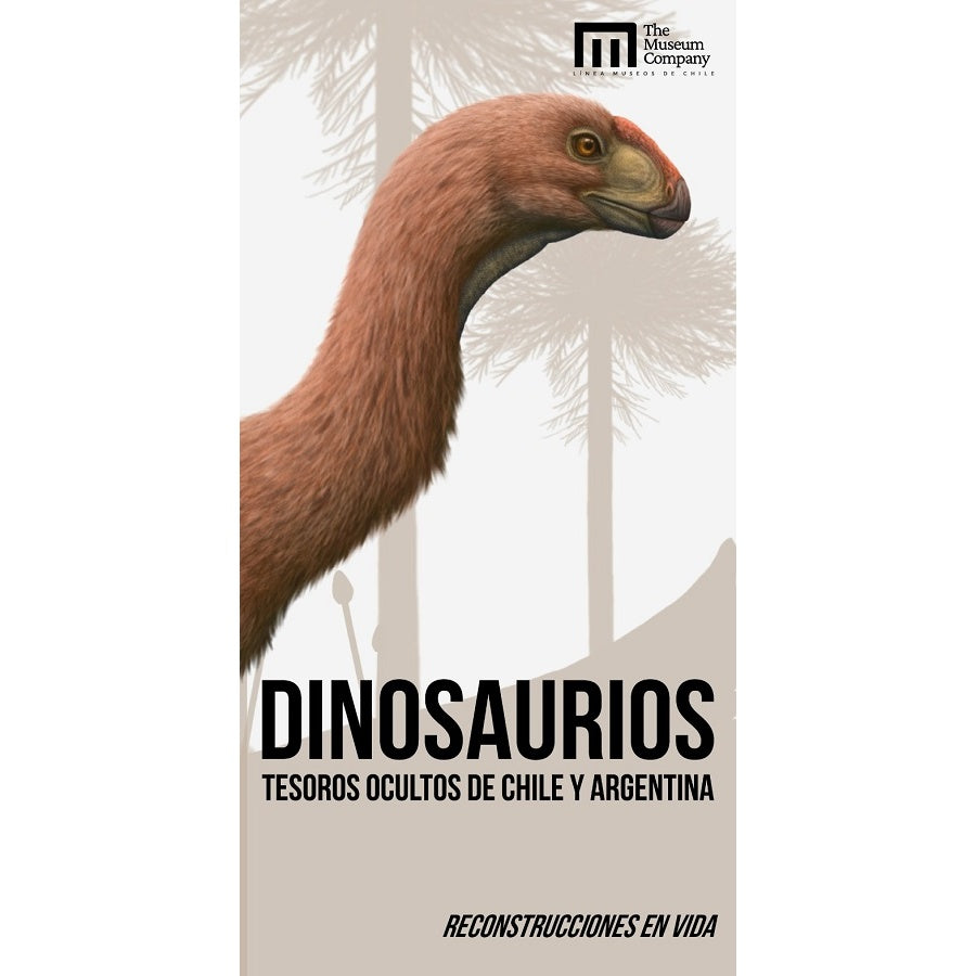 DINOSAURIOS, TESOROS OCULTOS DE CHILE Y ARGENTINA