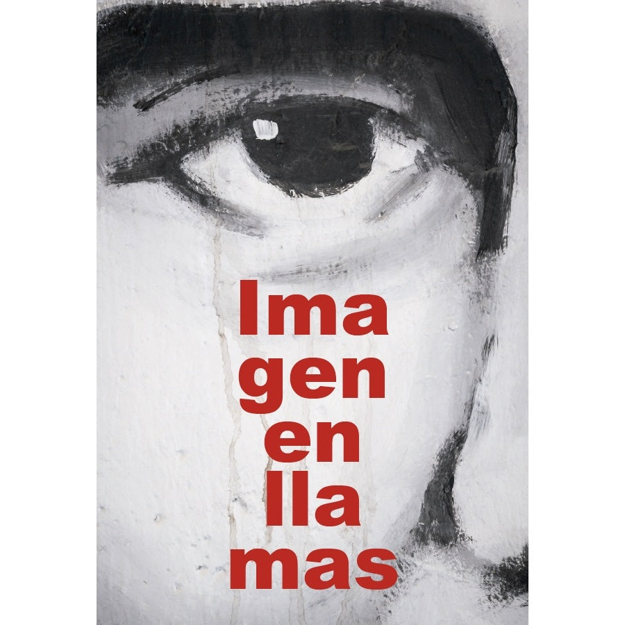 IMAGEN EN LLAMAS