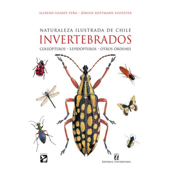 NATURALEZA ILUSTRADA DE CHILE. INVERTEBRADOS