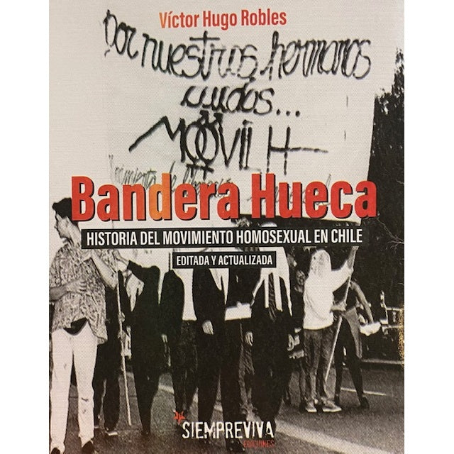 BANDERA HUECA
