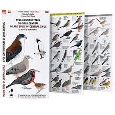 AVES CONTINENTALES DE CHILE CENTRAL DESPLEGABLE