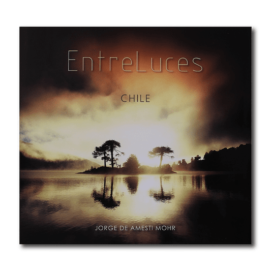 ENTRE LUCES CHILE