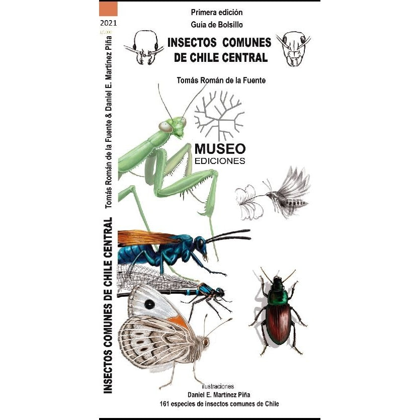 INSECTOS COMUNES DE CHILE CENTRAL (DESPLEGABLE)