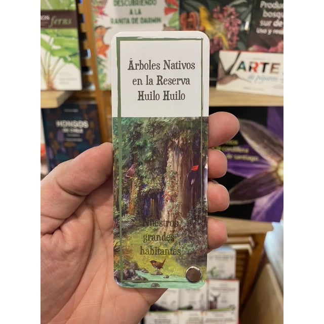PANTONERA ARBOLES NATIVOS HUILO HUILO