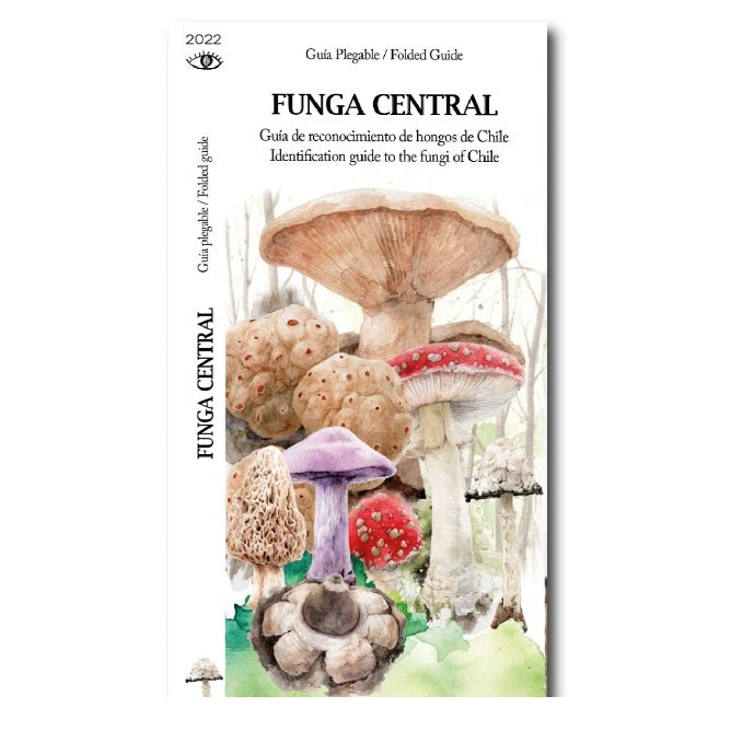 FUNGA CENTRAL (DESPLEGABLE)
