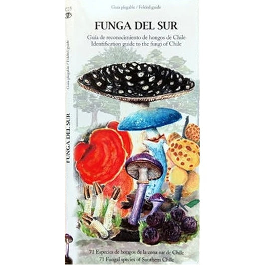 FUNGA DEL SUR GUIA DE RECONOCIMIENTO (DESPLEGABLE)