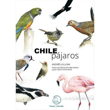 CHILE PAJAROS