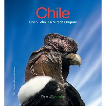 CHILE UNEN LELIN. LA MIRADA ORIGINAL
