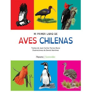 MI PRIMER LIBRO DE AVES CHILENAS